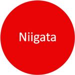 Parts for Niigata CO2 Laser