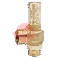 37910010 GasiQ 10 Bar Safety Valve. G1/2