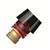 CK-24HR  Interlas Short Back Cap PA401