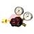 2047SE  CO2 Single Stage 2 Gauge Regulator 4 Bar Side Entry
